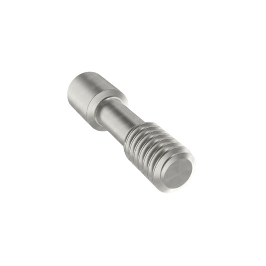 Final Abutment Screw only