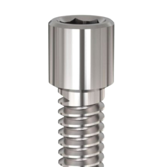 Prosthetic Screw Only